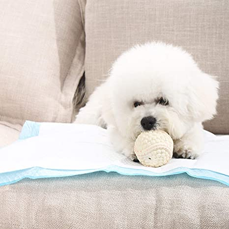 Disposable Underpad（pet）