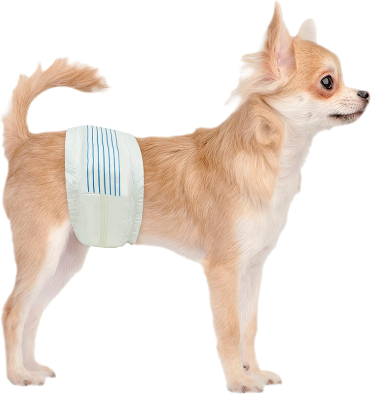 Pet Diaper Basics Male Dog Wrap, Disposable Diapers, X-Small, Pack of 30, White Factory Custom