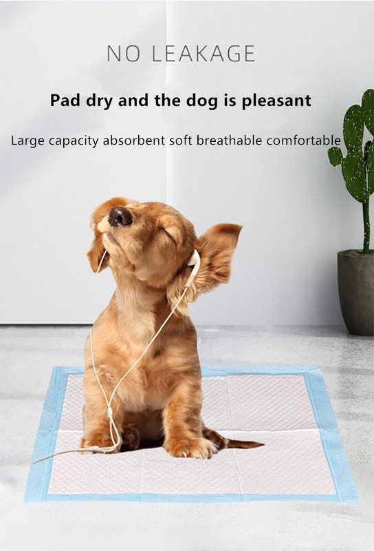 Pet Potty Training Pads for Dogs Disposable Puppy PEE Pads Quick Absorb