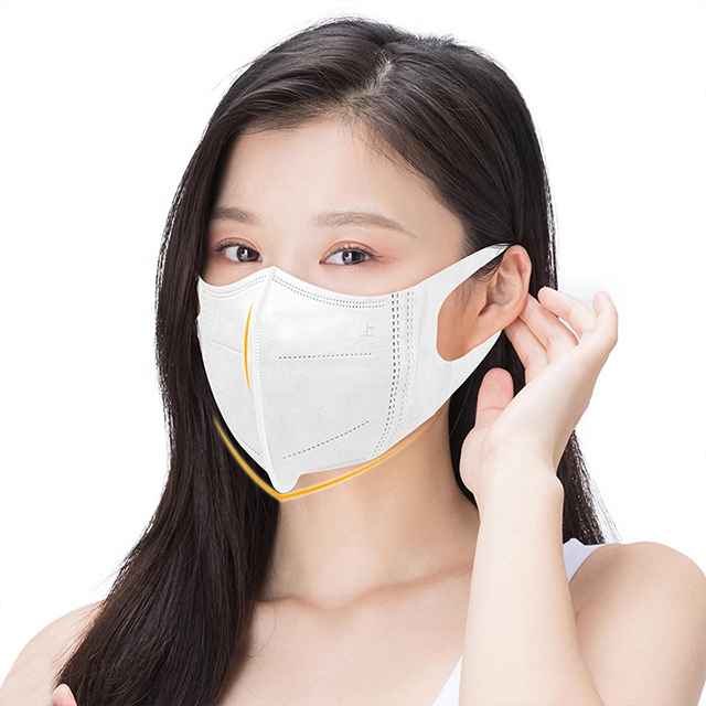  3D Mask (Non-Medical)