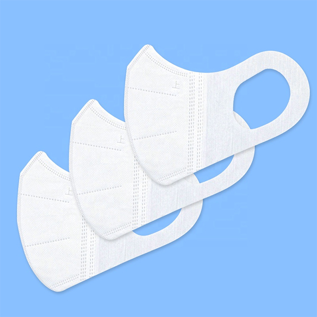  3D Mask (Non-Medical)