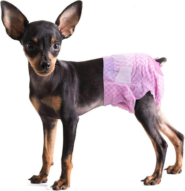 Dog Diapers Male X-Small Super Absorbent - 50 Count Male Dog Diapers Disposable - Doggie Diapers