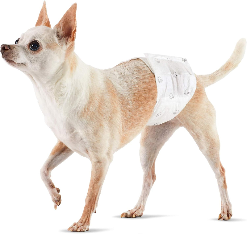 Pet Diaper Basics Male Dog Wrap, Disposable Diapers, X-Small, Pack of 30, White Factory Custom