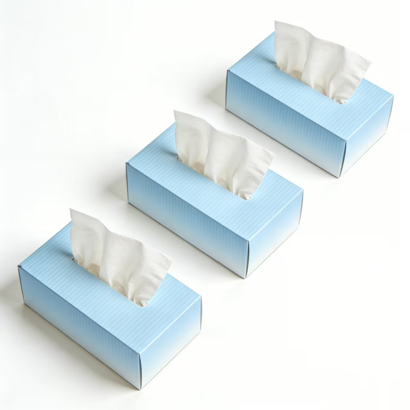OEM/ODM Eco-friendly Customizable Box Tissues for Home And Office Use