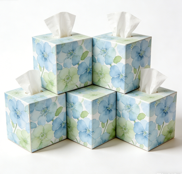 OEM/ODM Eco-friendly Elegant Floral Box Tissues for Home and Office Use